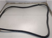 Уплотнитель Pontiac Vibe 1 2002-2008 20663042 #1