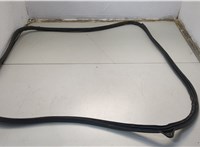Уплотнитель Pontiac Vibe 1 2002-2008 20663042 #2