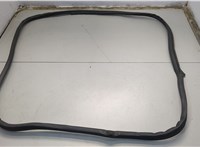 Уплотнитель Pontiac Vibe 1 2002-2008 20663049 #1