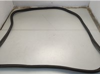 Уплотнитель Pontiac Vibe 1 2002-2008 20663050 #3