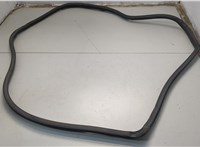 Уплотнитель Pontiac Vibe 1 2002-2008 20663052 #1