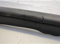 Уплотнитель Pontiac Vibe 1 2002-2008 20663052 #2