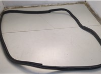 Уплотнитель Pontiac Vibe 1 2002-2008 20663052 #3
