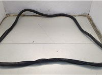 Уплотнитель Lincoln Corsair 2019-2023 20663134 #1