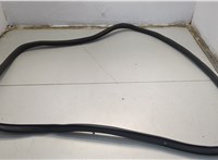 Уплотнитель Lincoln Corsair 2019-2023 20663140 #1