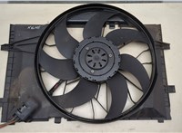  Вентилятор радиатора Mercedes C W203 2000-2008 20663622 #1