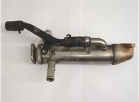 Охладитель отработанных газов Jaguar X-Type 2001-2009 20663660 #1