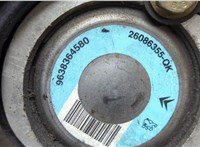 Насос гидроусилителя руля (ГУР) Peugeot 206 1998-2012 20663800 #3