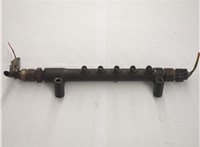 Рампа (рейка) топливная Toyota Land Cruiser Prado (120) - 2002-2009 20663930 #1