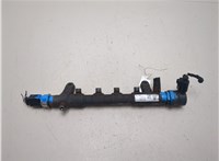 03L130093 Рампа (рейка) топливная Volkswagen Crafter 2006-2016 20664004 #5