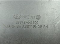 Молдинг крыла Hyundai Terracan 2001-2007 20664268 #6