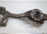 Ступица (кулак, цапфа) Audi A4 (B7) 2004-2009 20664352 #1