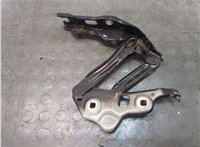 Петля капота Skoda Octavia (A8) 2019-2025 20664599 #2