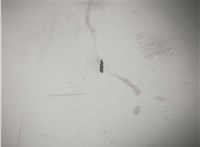 5E0919605 Дисплей мультимедиа Skoda Octavia (A7) 2013-2023 20665009 #5