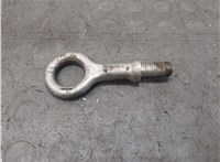 Крюк буксировочный Volvo S40 2004- 20665052 #1