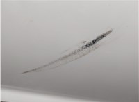 6R3845202 Стекло боковой двери Volkswagen Polo 2009-2014 11536830 #7