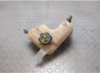 1304018 Бачок расширительный Opel Ampera 2011-2015 20665301 #1