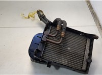 17217586546 Радиатор масляный BMW X5 E70 2006-2013 20665510 #1