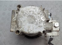 4120049100 Компрессор кондиционера Hyundai Terracan 2001-2007 20666955 #4