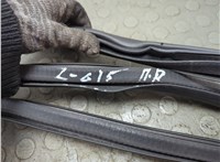  Уплотнитель Ford Escape 2019-2022 20667349 #3