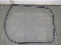 Уплотнитель Toyota Sienna 3 2010-2020 20667366 #1
