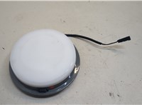 Фонарь салона (плафон) Ford Explorer 2015-2019 20667469 #1