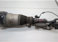 Амортизатор подвески Mercedes S W222 2013-2020 20667978 #1