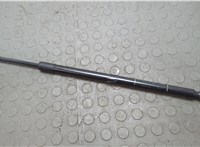 Амортизатор крышки багажника Lincoln Navigator 2002-2006 20668157 #1
