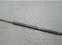 Амортизатор крышки багажника Lincoln Navigator 2002-2006 20668158 #1