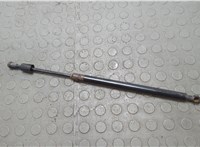 Амортизатор стекла багажника Lincoln Navigator 2002-2006 20668160 #1