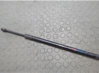 Амортизатор крышки багажника GMC Terrain 2017-2024 20668162 #1