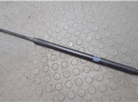 FB5378406A11AF Амортизатор крышки багажника Ford Explorer 2015-2019 20668165 #1