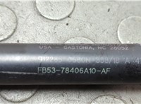 FB5378406A10AF Амортизатор крышки багажника Ford Explorer 2015-2019 20668166 #2