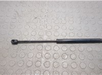  Амортизатор капота Toyota FJ Cruiser 20668198 #1