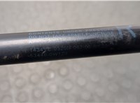  Амортизатор капота Toyota FJ Cruiser 20668198 #2