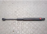 Амортизатор капота Mercedes S W222 2013-2020 20668203 #1