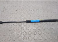 Амортизатор капота Lincoln Navigator 2002-2006 20668206 #1