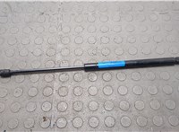 Амортизатор капота Lincoln Navigator 2002-2006 20668207 #1