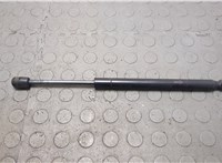 Амортизатор капота Lincoln Navigator 2006-2014 20668208 #1