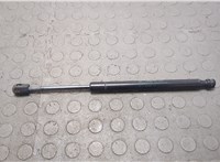 Амортизатор капота Lincoln Navigator 2006-2014 20668209 #1