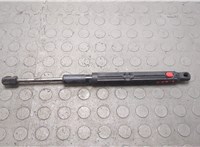 Амортизатор капота Mercedes S W222 2013-2020 20668213 #1