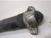 5QN513049AR Амортизатор подвески Volkswagen Tiguan 2016-2020 20668241 #2