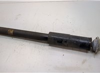 Амортизатор подвески Mercedes S W140 1991-1999 20668466 #1