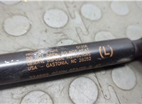 LJ6BS406A11AE Амортизатор крышки багажника Ford Escape 2019-2022 20668807 #3