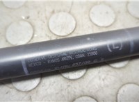  Амортизатор крышки багажника Lincoln Navigator 2006-2014 20668837 #3