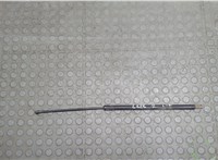 Амортизатор крышки багажника Hummer H3 20668839 #1