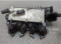  Коллектор впускной Skoda Yeti 2009-2018 20669965 #1
