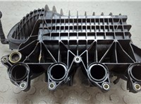  Коллектор впускной Skoda Yeti 2009-2018 20669965 #4