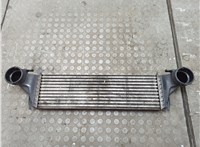 17517791231 Радиатор интеркулера BMW X5 E53 2000-2006 20670105 #1