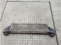 17517791231 Радиатор интеркулера BMW X5 E53 2000-2006 20670105 #3